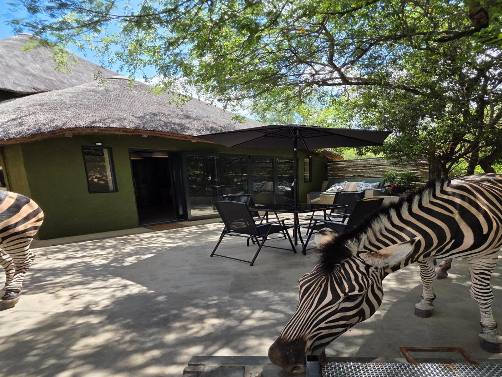 Croc Orvyll'S Kruger Lodge Marloth Park Exterior foto